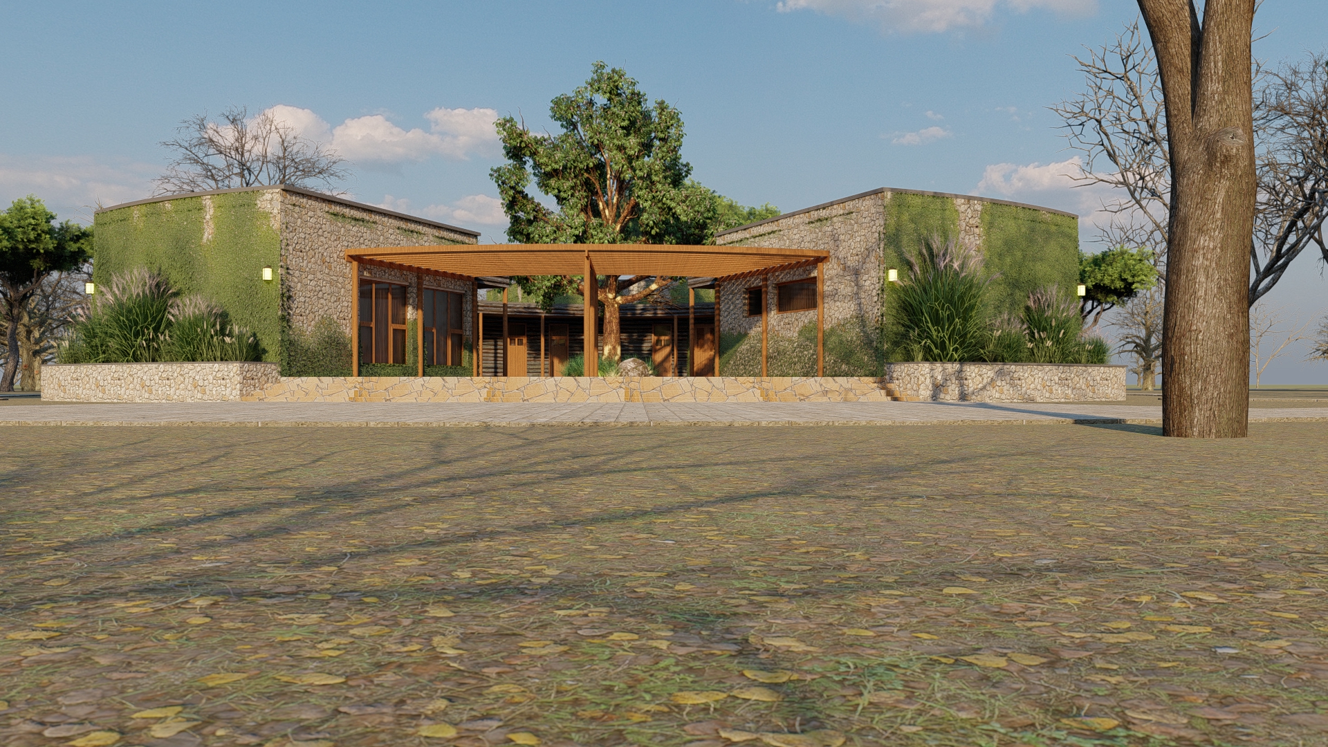 Born Free Foundation - Image 3